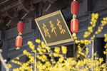 东平府