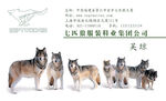 企业名片