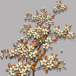 花枝