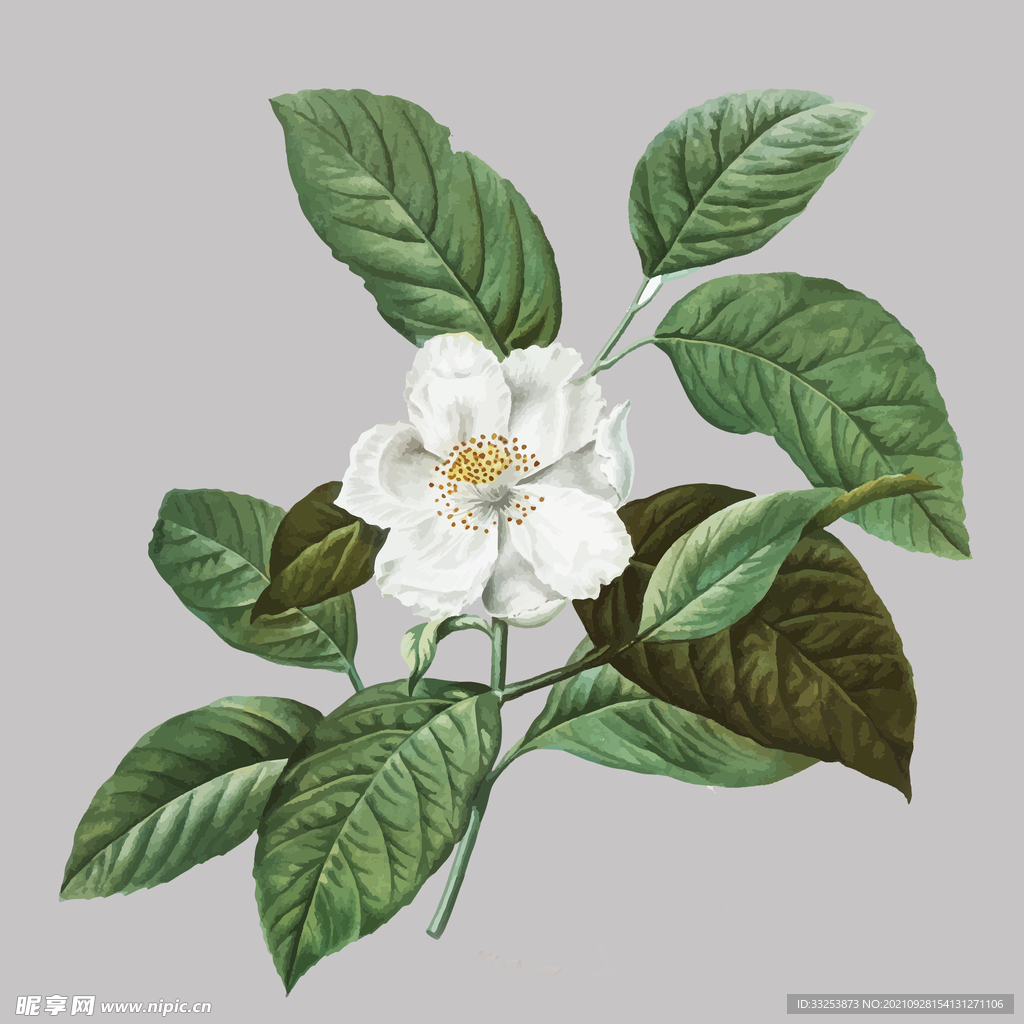 花
