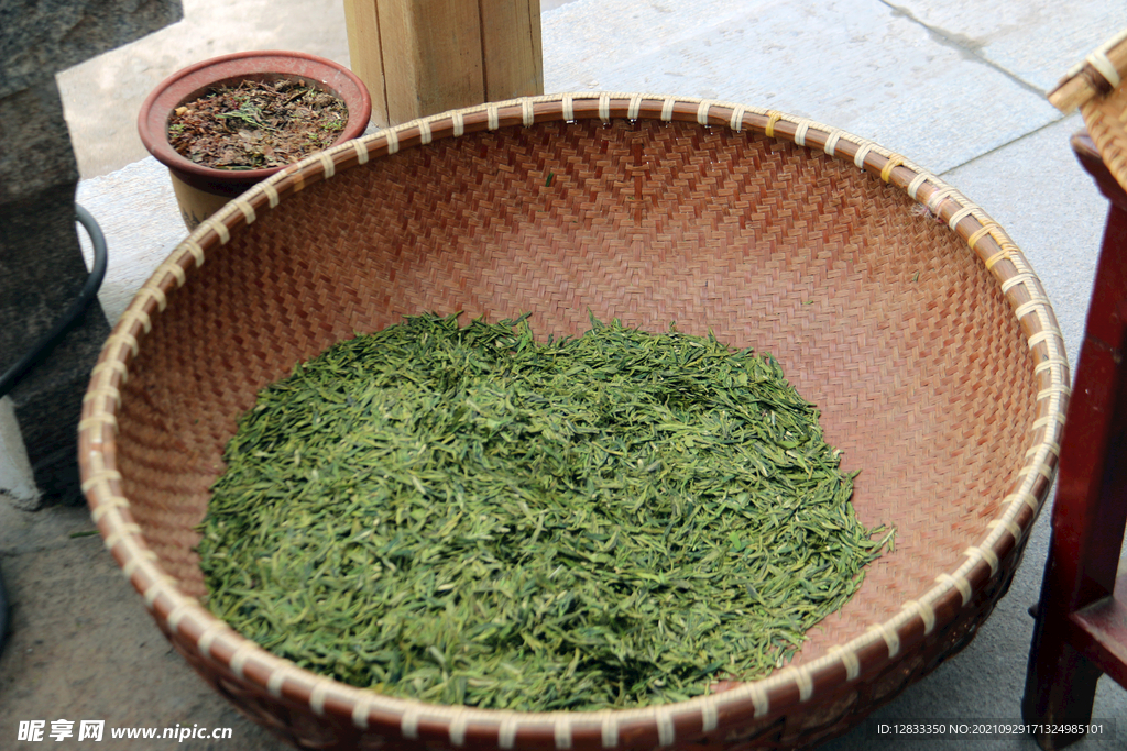 茶园摄影 茶叶 绿茶 西湖龙井