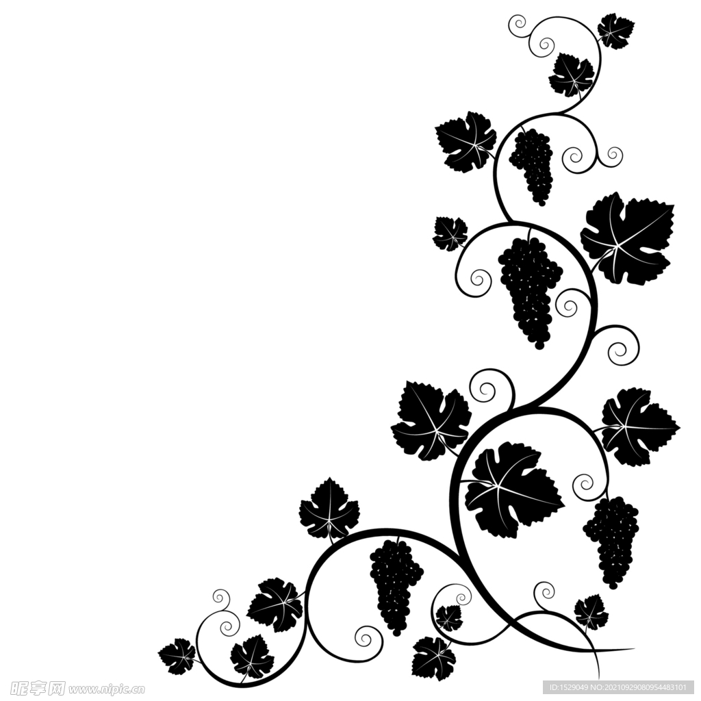 黑白装饰花纹 