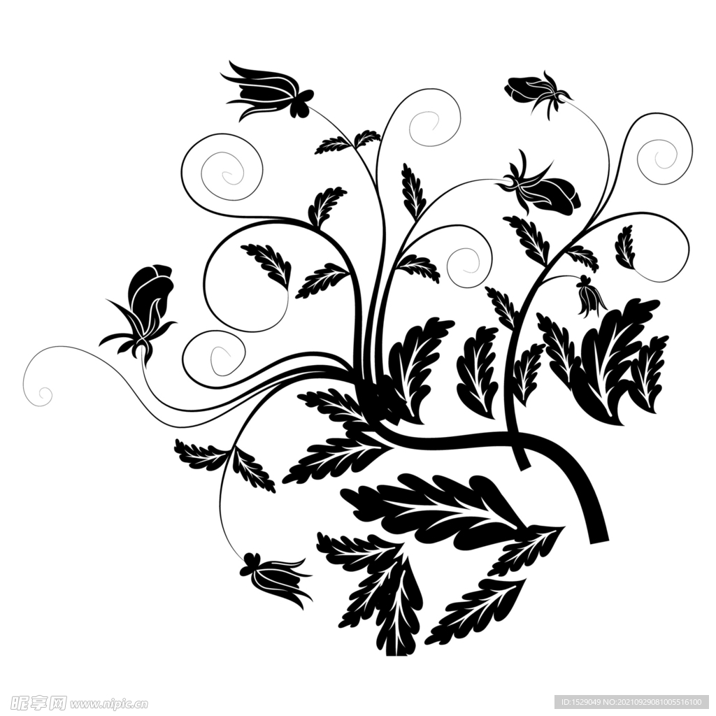 黑白装饰花纹  