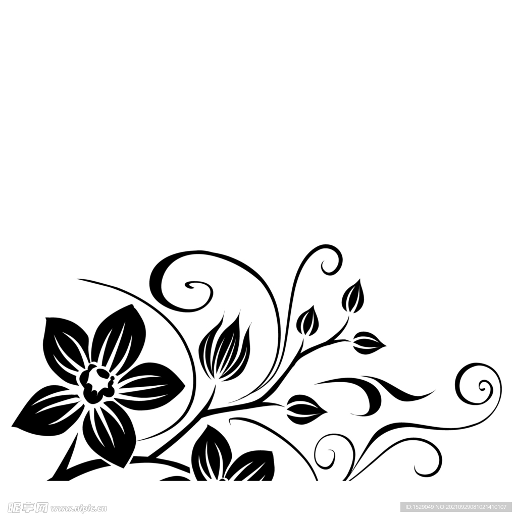 黑白装饰花纹  