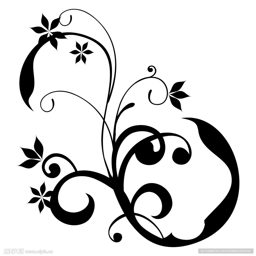 黑白装饰花纹 