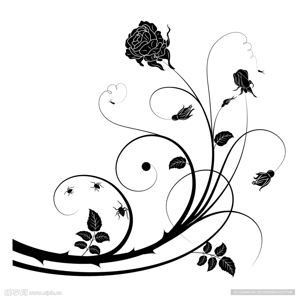 黑白装饰花纹  