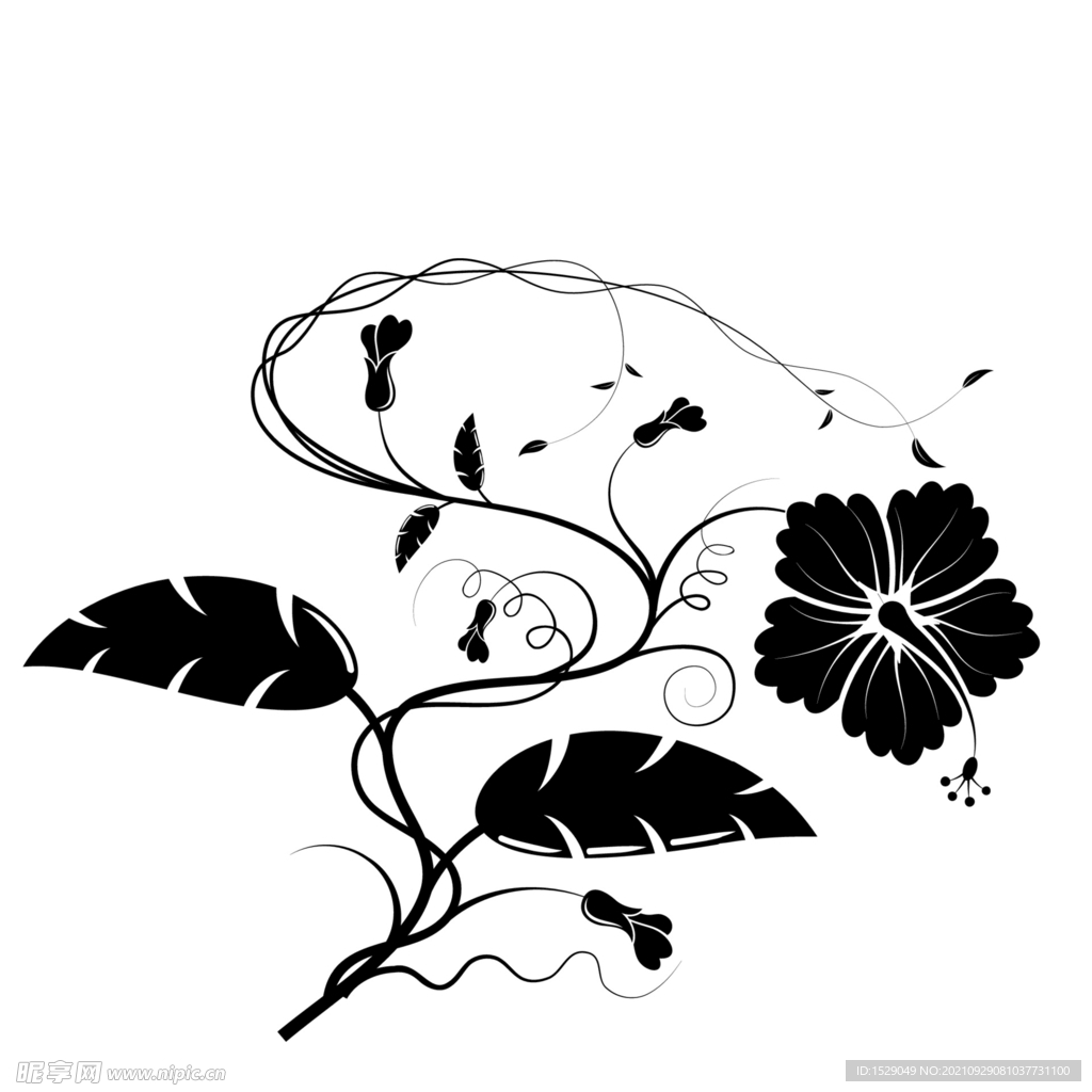 黑白装饰花纹  