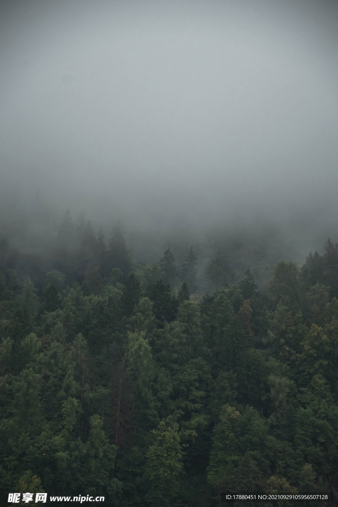 山林