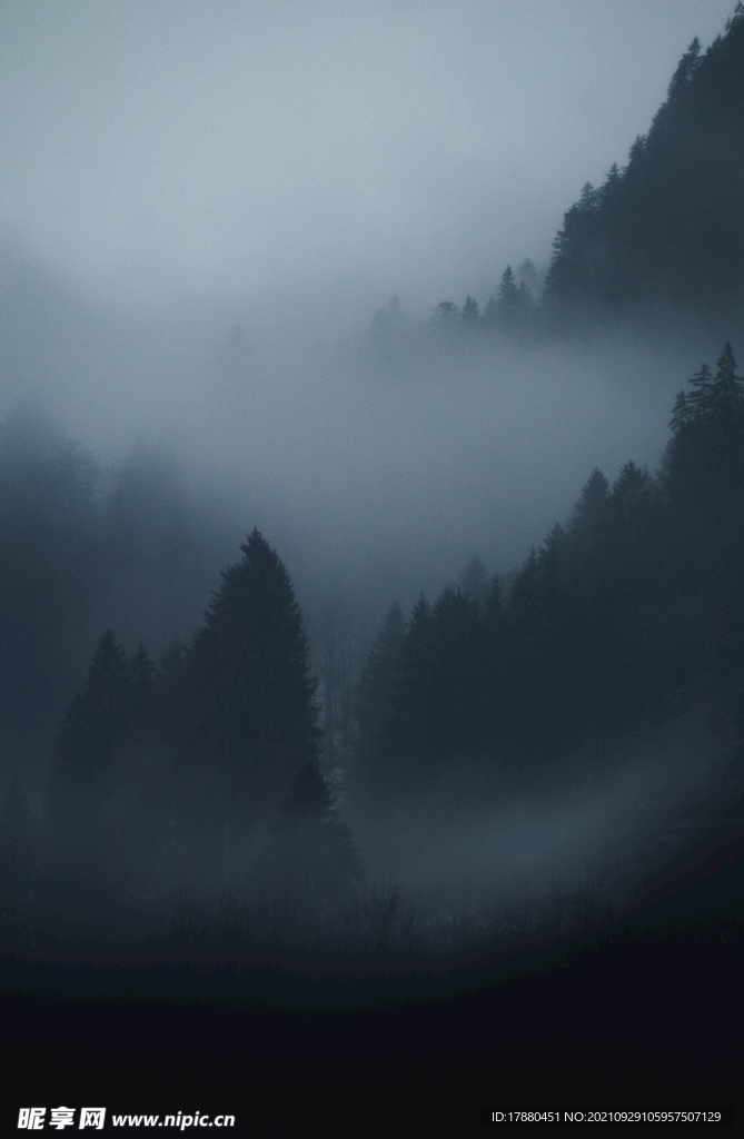山林