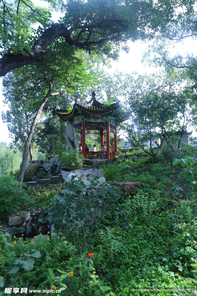  公园风景 
