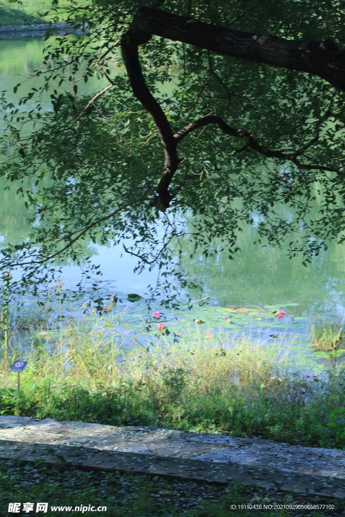龙潭中湖风景