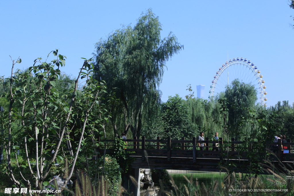  公园风景 