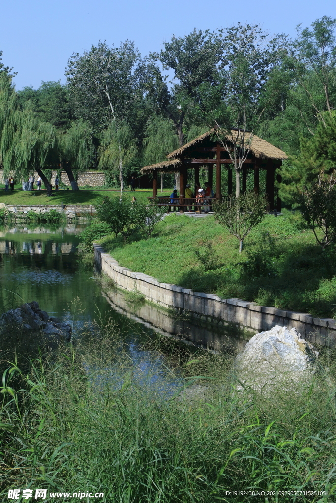  公园风景 