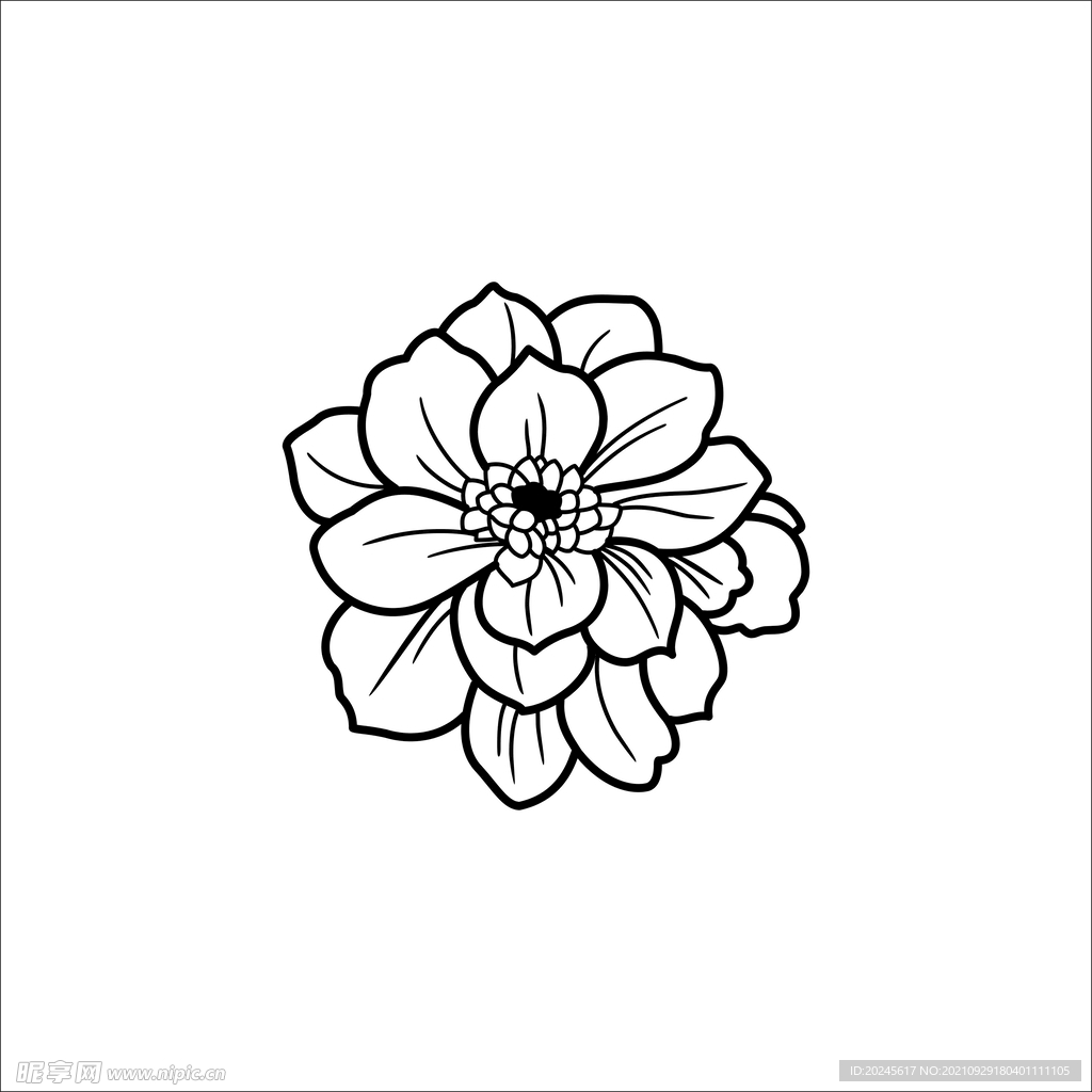 莲花