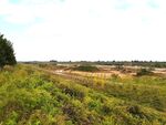 美丽的乡村风景