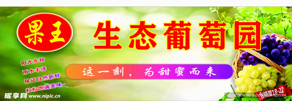 葡萄展板