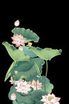 荷花
