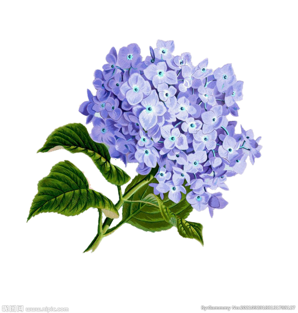 花