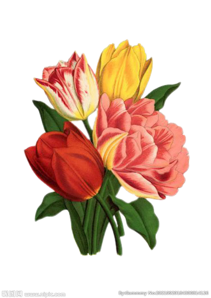 花