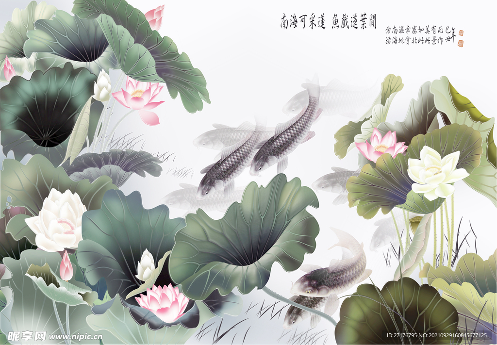 荷花背景