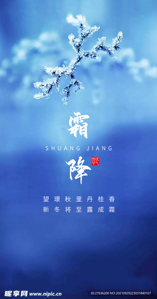 霜降二十四节气海报