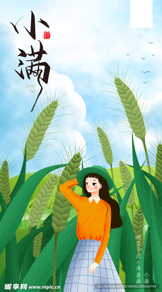 小满二十四节气海报