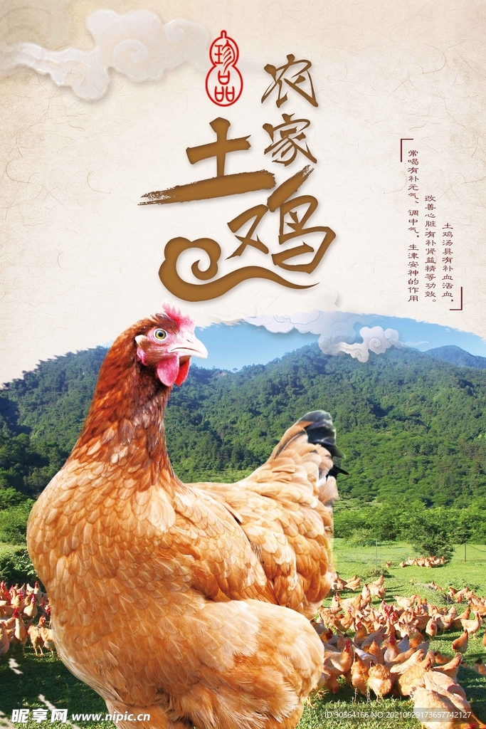 农家土鸡