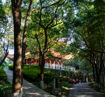 岳阳金鹗山公园金鹗山孔子公园