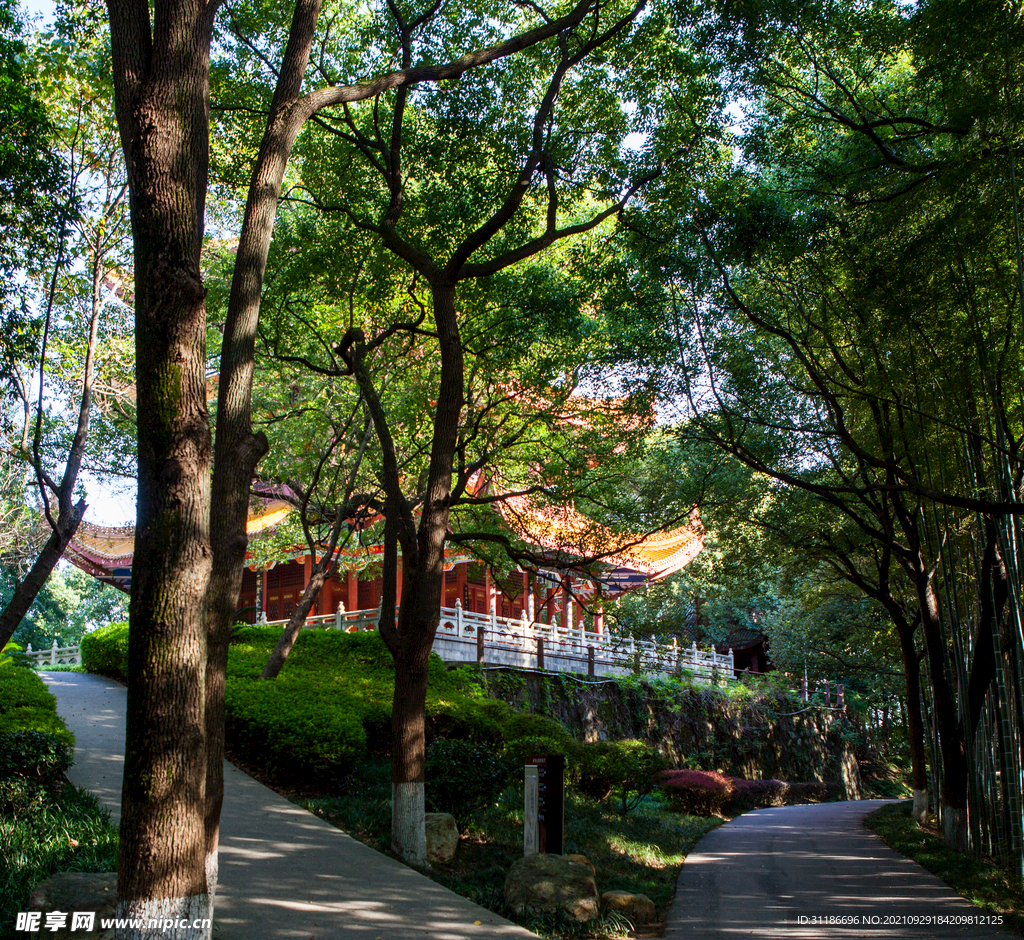 岳阳金鹗山公园金鹗山孔子公园