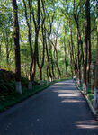 岳阳金鹗山公园金鹗山孔子公园
