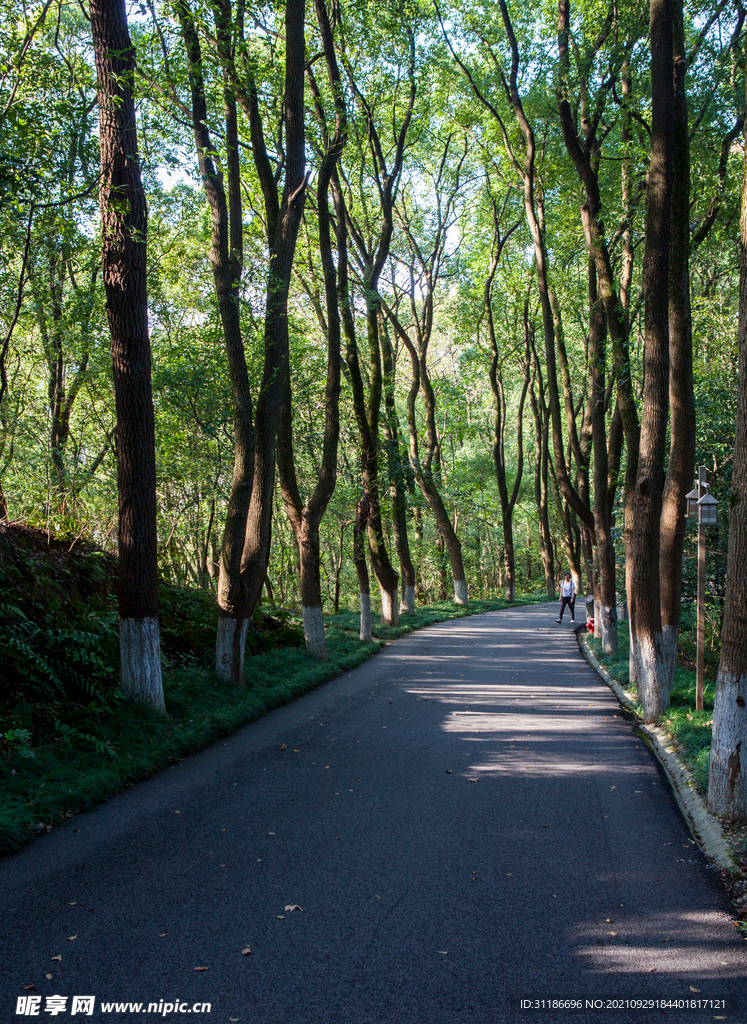 岳阳金鹗山公园金鹗山孔子公园