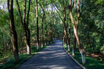岳阳金鹗山公园金鹗山孔子公园