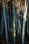 岳阳金鹗山公园金鹗山孔子公园