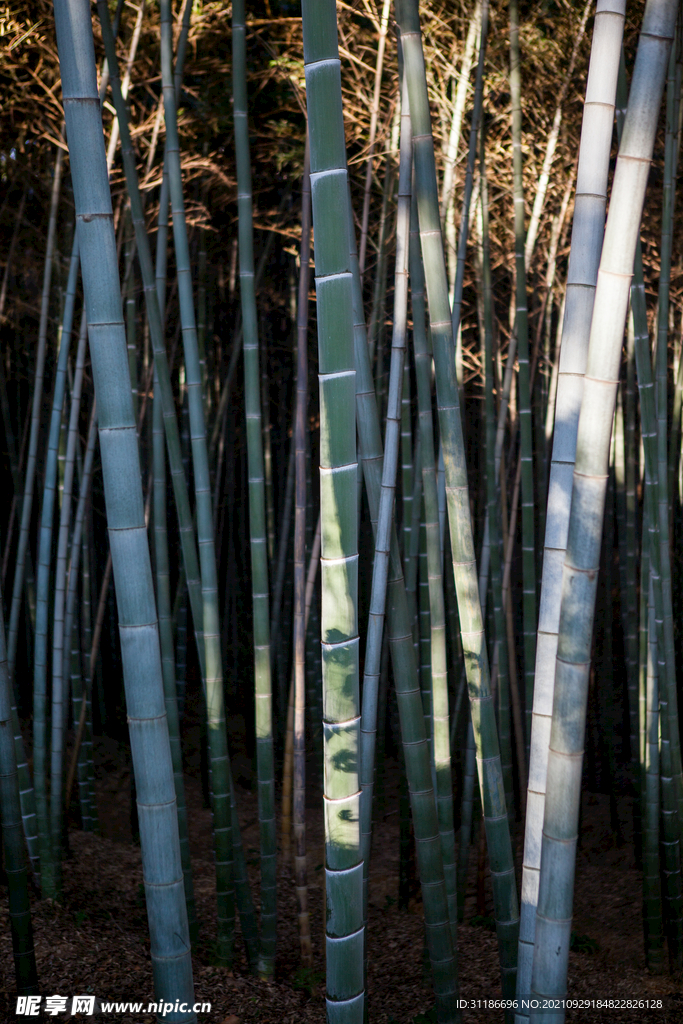 岳阳金鹗山公园金鹗山孔子公园