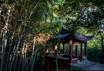 岳阳金鹗山公园金鹗山孔子公园