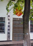 岳阳体育馆
