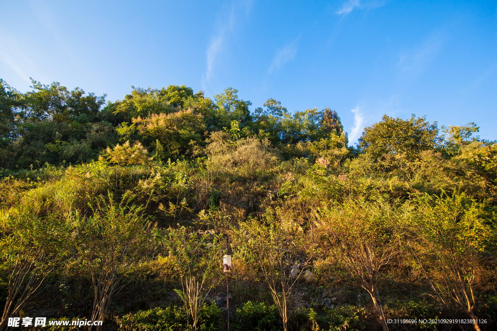 岳阳珍珠山公园