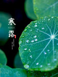 大气寒露海报