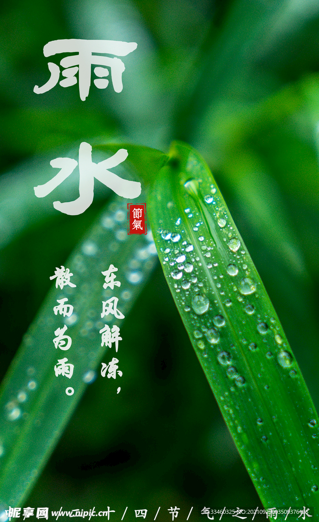 雨水