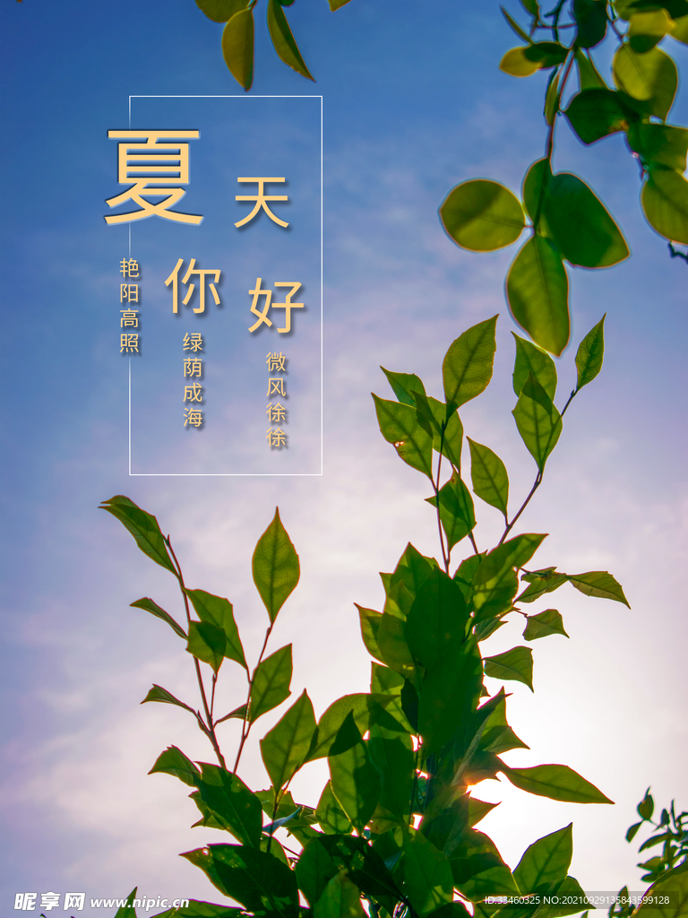 夏天你好