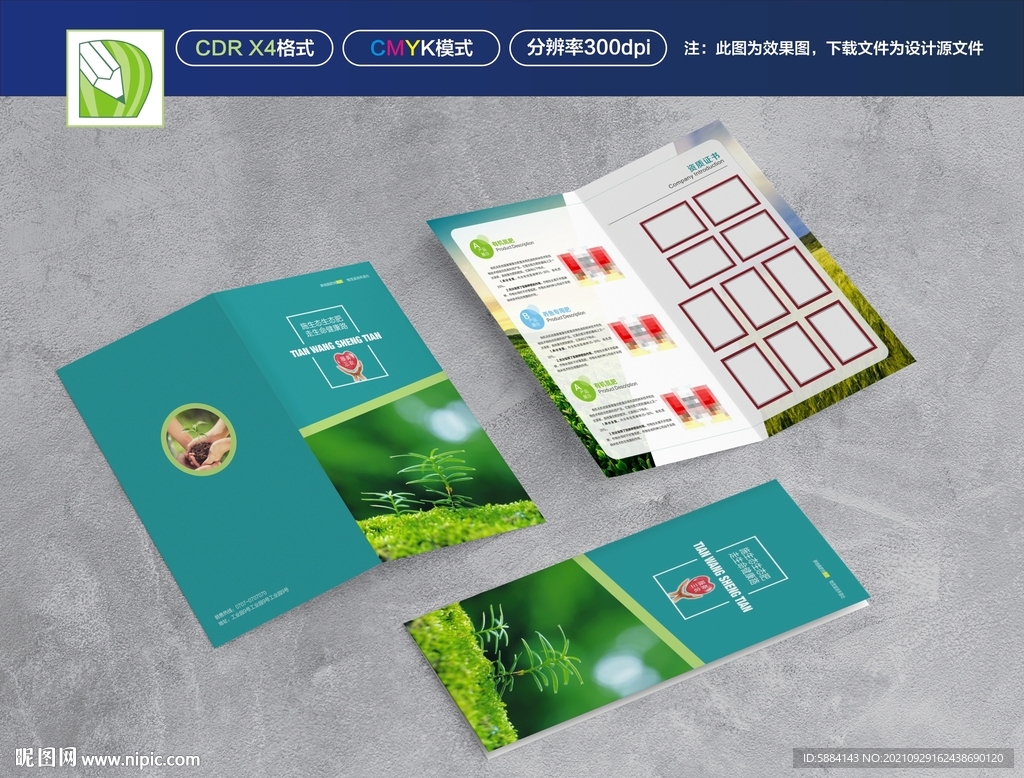 绿色化肥两折页