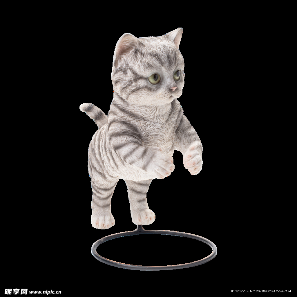 小猫