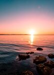 海