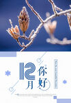 12月你好
