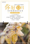 12月你好