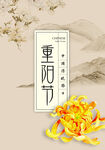 重阳节