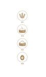 酿酒过程图标icon