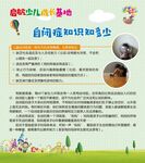 自闭症知识
