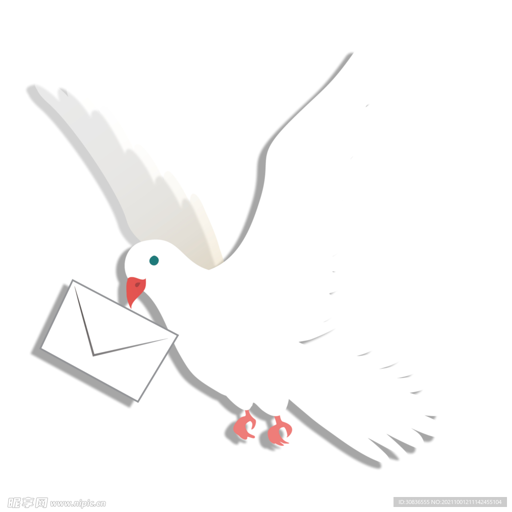 鸽子