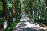 岳阳市南湖公园